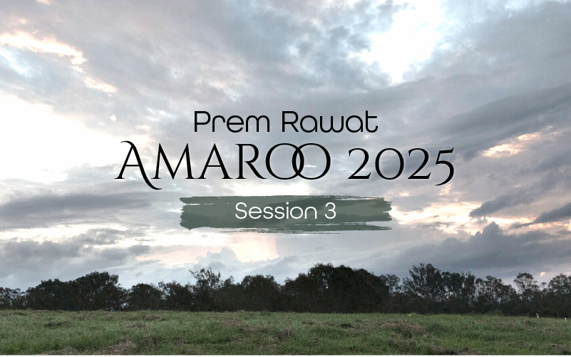 Amaroo_2025_Session_3_EN_800