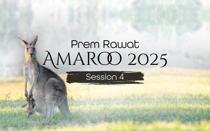 Amaroo_2025_Session_4_EN_800