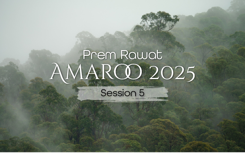 Amaroo_2025_Session_5_EN_800