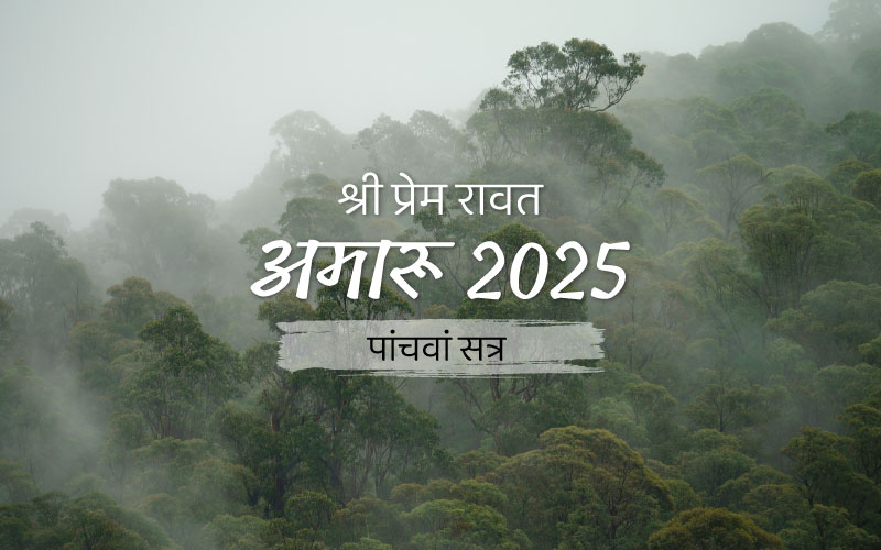 Amaroo_2025_Session_5_HI_800