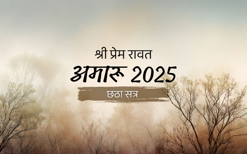 Amaroo_2025_Session_6_HI_800