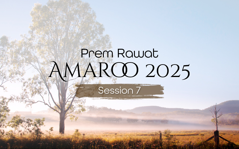 Amaroo_2025_Session_7_EN_800