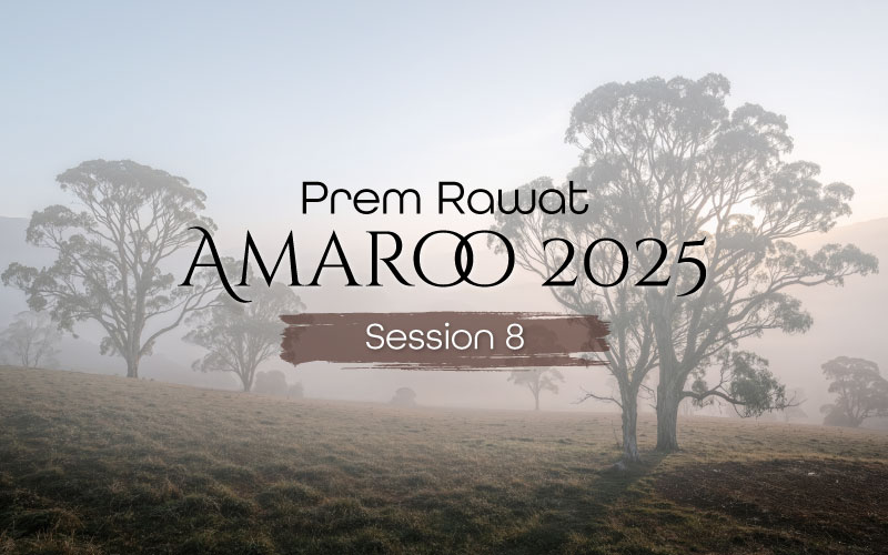 Amaroo_2025_Session_8_EN_800