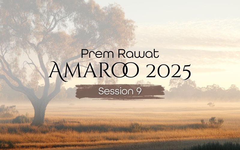Amaroo_2025_Session_9_EN_800